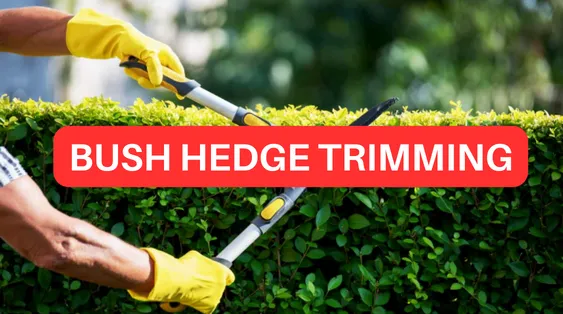 Trusted landscape design in Evansville, IN by 812 E & G LAWN CARE