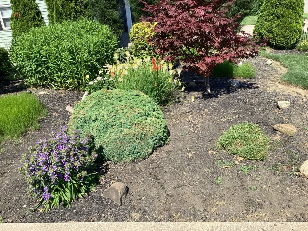 Custom yard maintenance for residential properties in Linesville, PA by 814 Property Maintenance