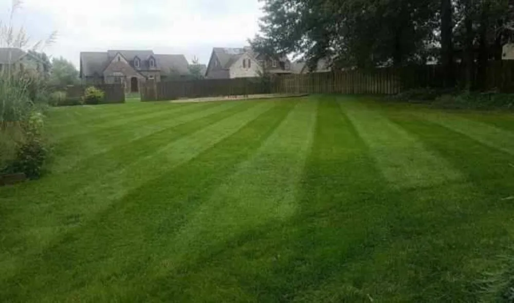 Affordable residential landscaping experts serving Kansas City, MO - 816 Mowing and Outdoor Lighting