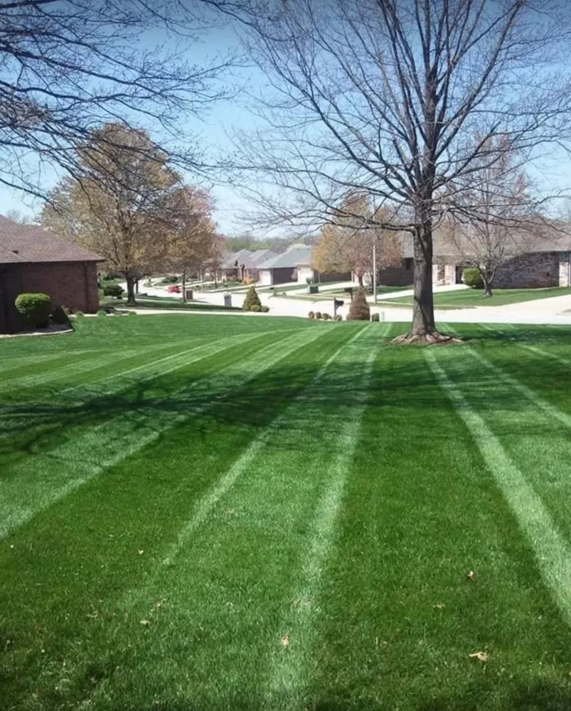 Expert garden landscaping in Kansas City, MO - 816 Mowing and Outdoor Lighting