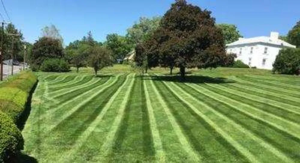 Affordable landscaping services experts serving Kansas City, MO - 816 Mowing and Outdoor Lighting