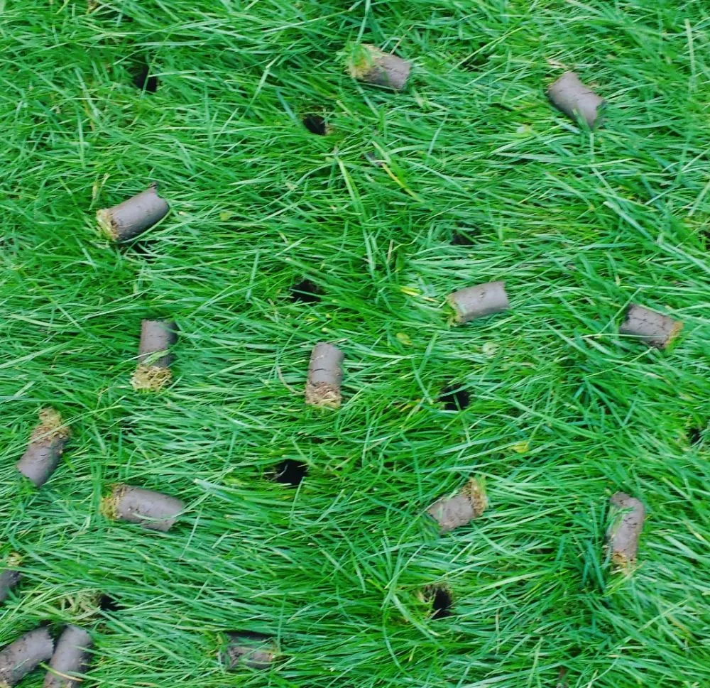 Professional lawn mowing service in West Valley City, UT - 818 Lawn care