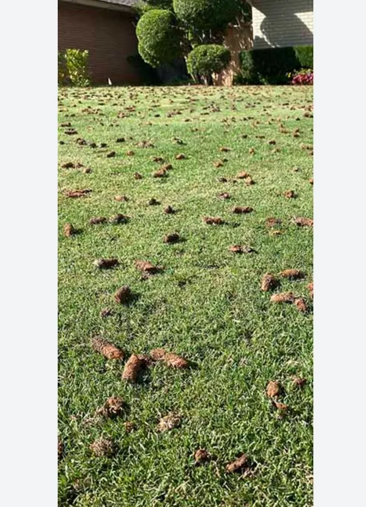 Top-rated garden landscaping in West Valley City, UT - 818 Lawn care