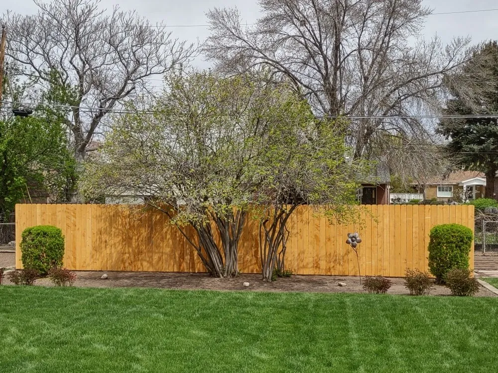 Expert outdoor landscaping in West Valley City, UT by 818 Lawn care