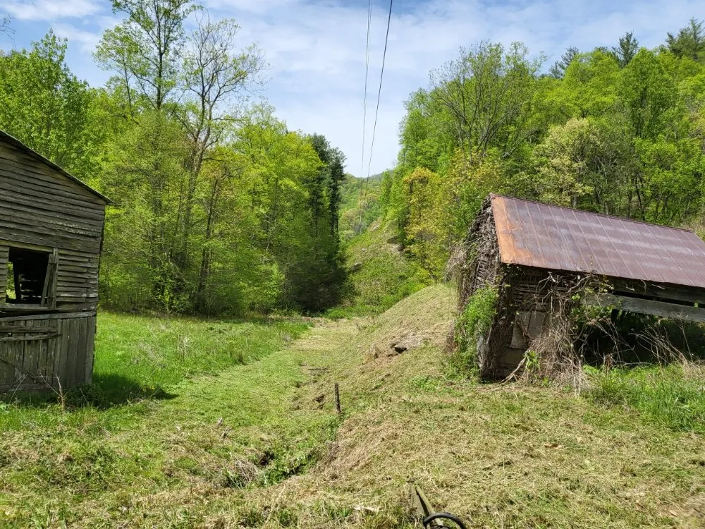 Professional lawn care service experts serving Asheville, NC - 828 Moving & Landscaping