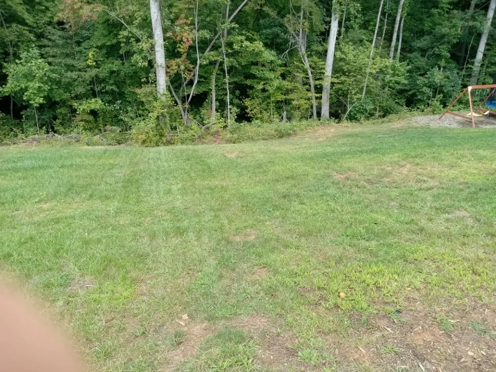 Top-rated landscape installation experts serving Asheville, NC - 828 Moving & Landscaping