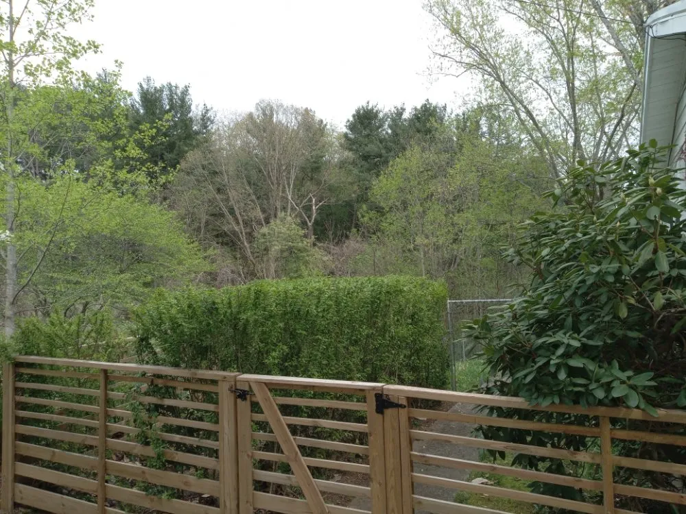 Affordable yard maintenance in Asheville, NC by 828 Moving & Landscaping