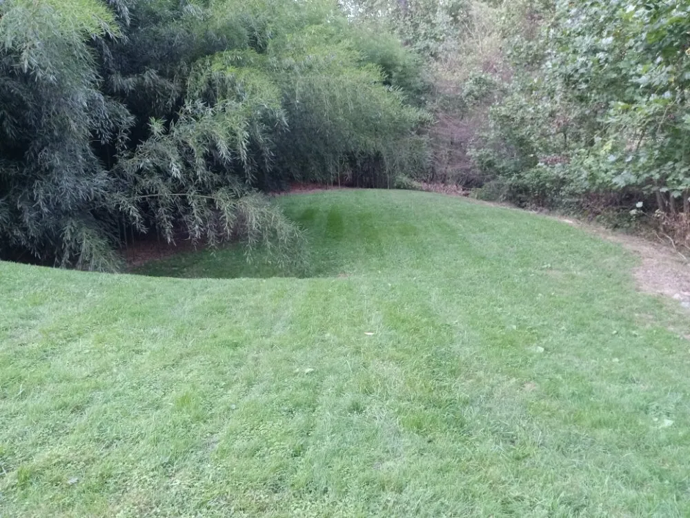 Custom landscape installation experts serving Asheville, NC - 828 Moving & Landscaping