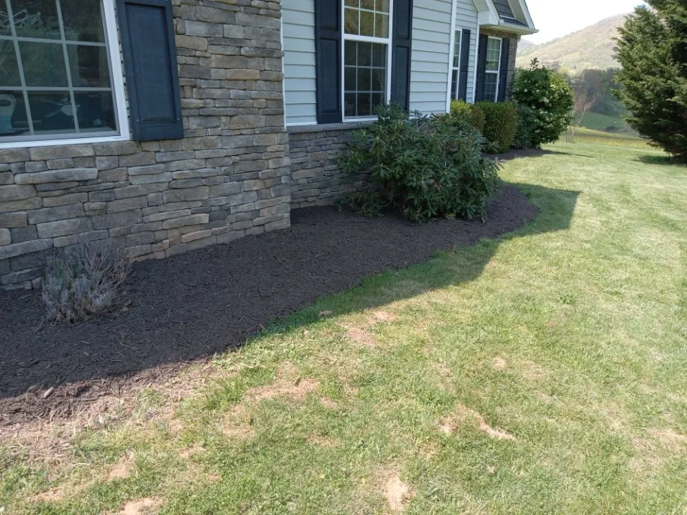 Affordable yard cleanup service for outdoor upgrades in Asheville, NC by 828 Moving & Landscaping