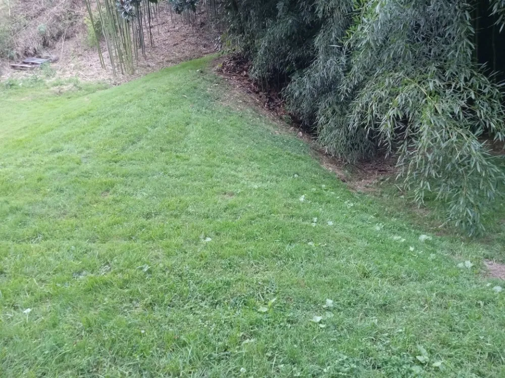 Professional landscape installation in Asheville, NC by 828 Moving & Landscaping