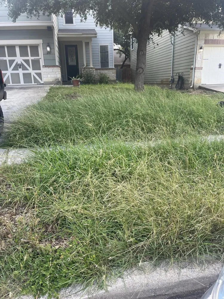 Reliable lawn mowing service in Boerne, TX - 830 Landscaping