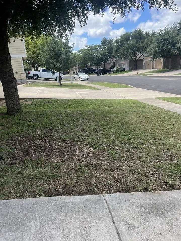 Reliable lawn mowing service in Boerne, TX - 830 Landscaping