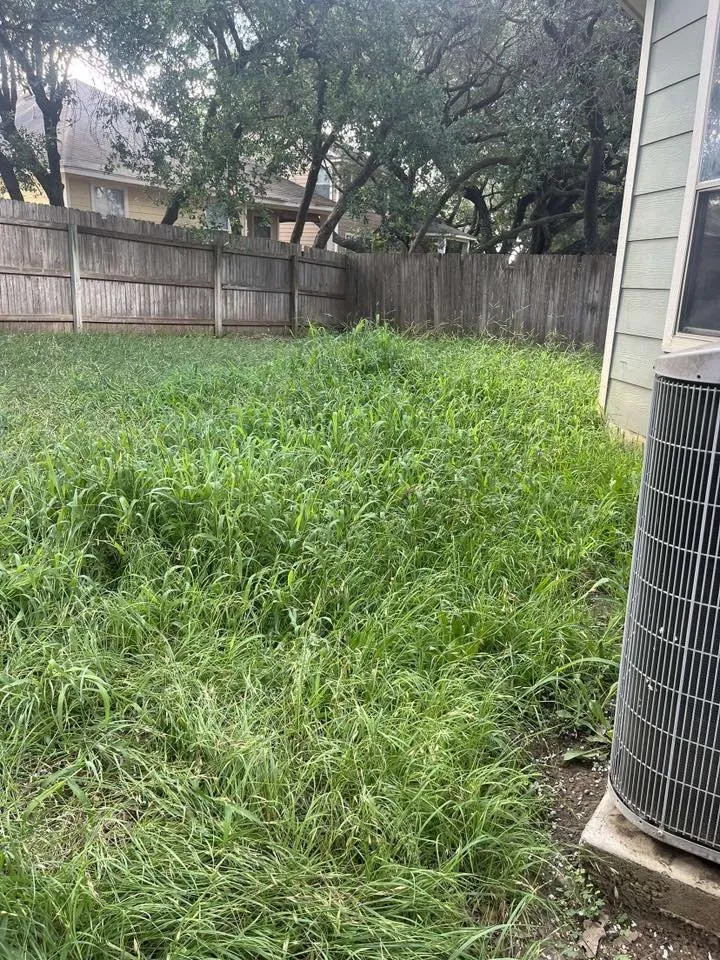 Professional lawn care service in Boerne, TX - 830 Landscaping