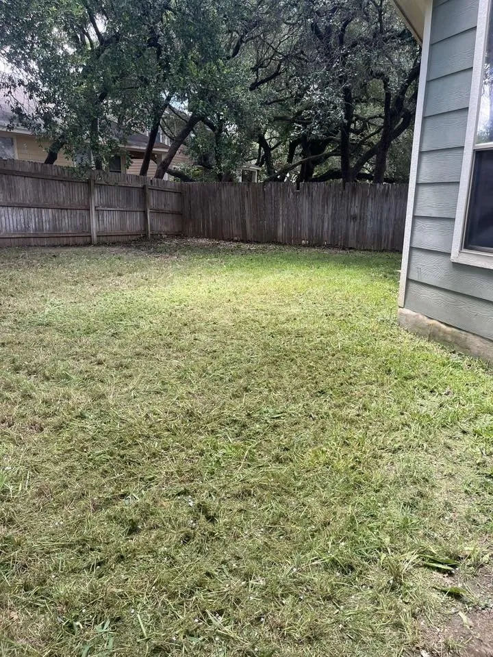 Affordable yard cleanup service in Boerne, TX by 830 Landscaping