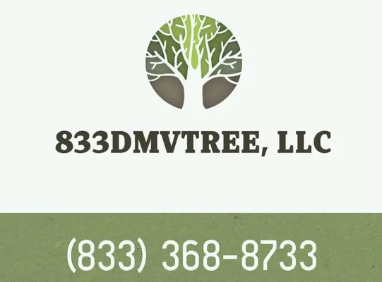 833DMVTREE Logo