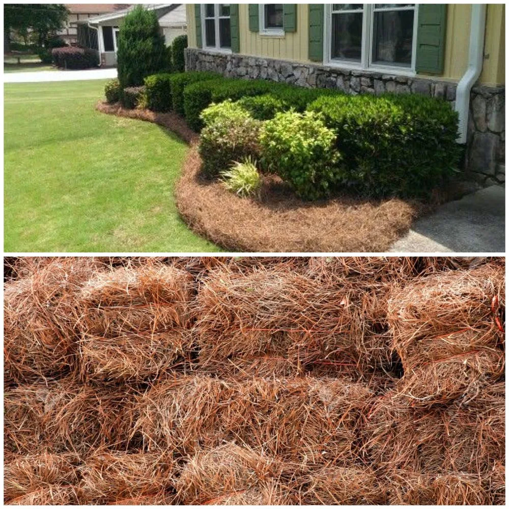 Custom outdoor landscaping for year-round maintenance across Hilton Head Island, SC - 843 Lawn Care