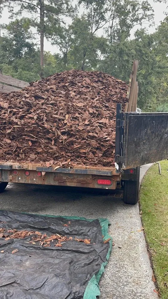 Reliable outdoor landscaping in Hilton Head Island, SC - 843 Lawn Care