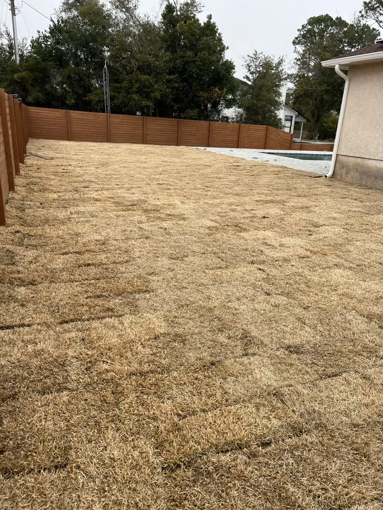 Trusted garden landscaping experts serving Panama City, FL - 850 Curb Appeal