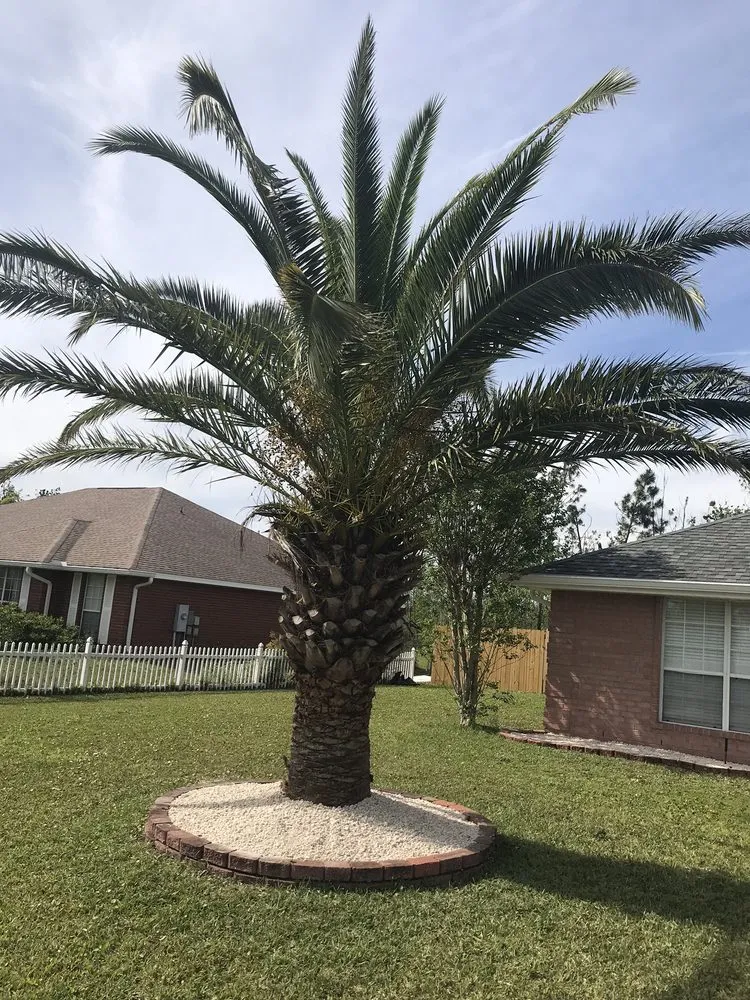 Local lawn mowing service in Panama City, FL - 850 Curb Appeal