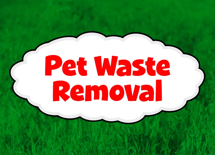 Expert landscaping services in Callaway, FL - 850 Xpress Lawn Care & Power Washing