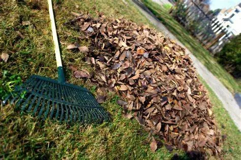Custom yard cleanup service in Callaway, FL - 850 Xpress Lawn Care & Power Washing