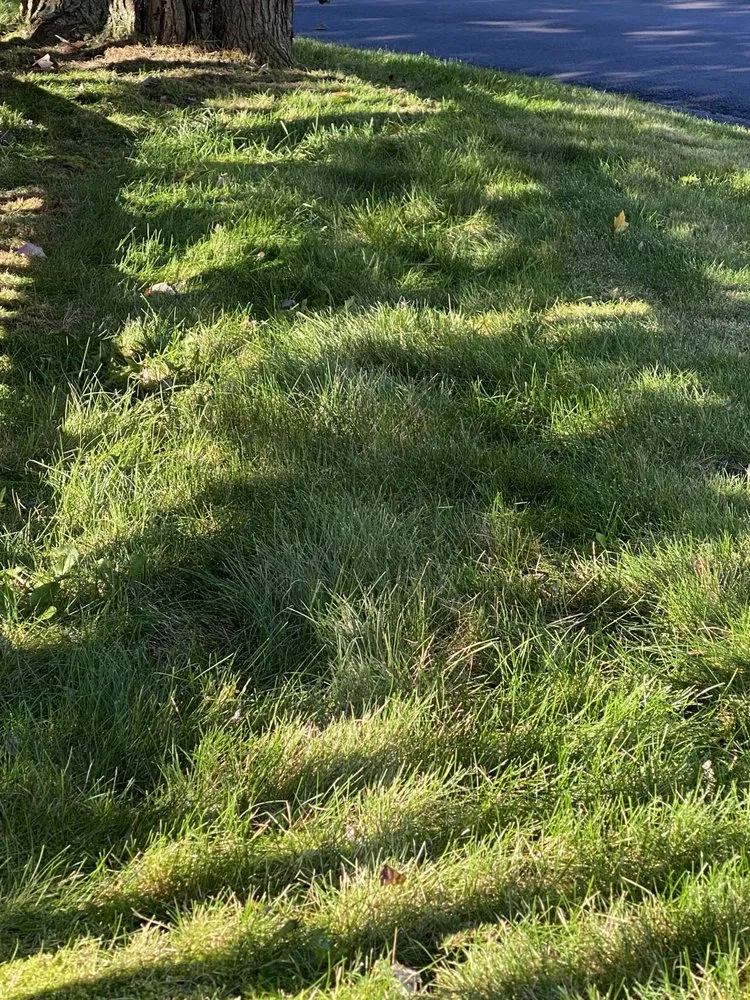 Top-rated yard cleanup service for year-round maintenance across North Kingstown, RI - 855-RILAWNS