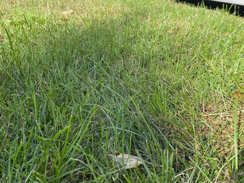 Professional lawn mowing service for homes in North Kingstown, RI by 855-RILAWNS