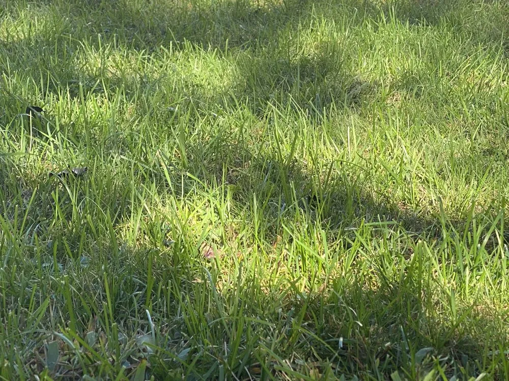 Expert lawn mowing service for beautiful yards in North Kingstown, RI by 855-RILAWNS