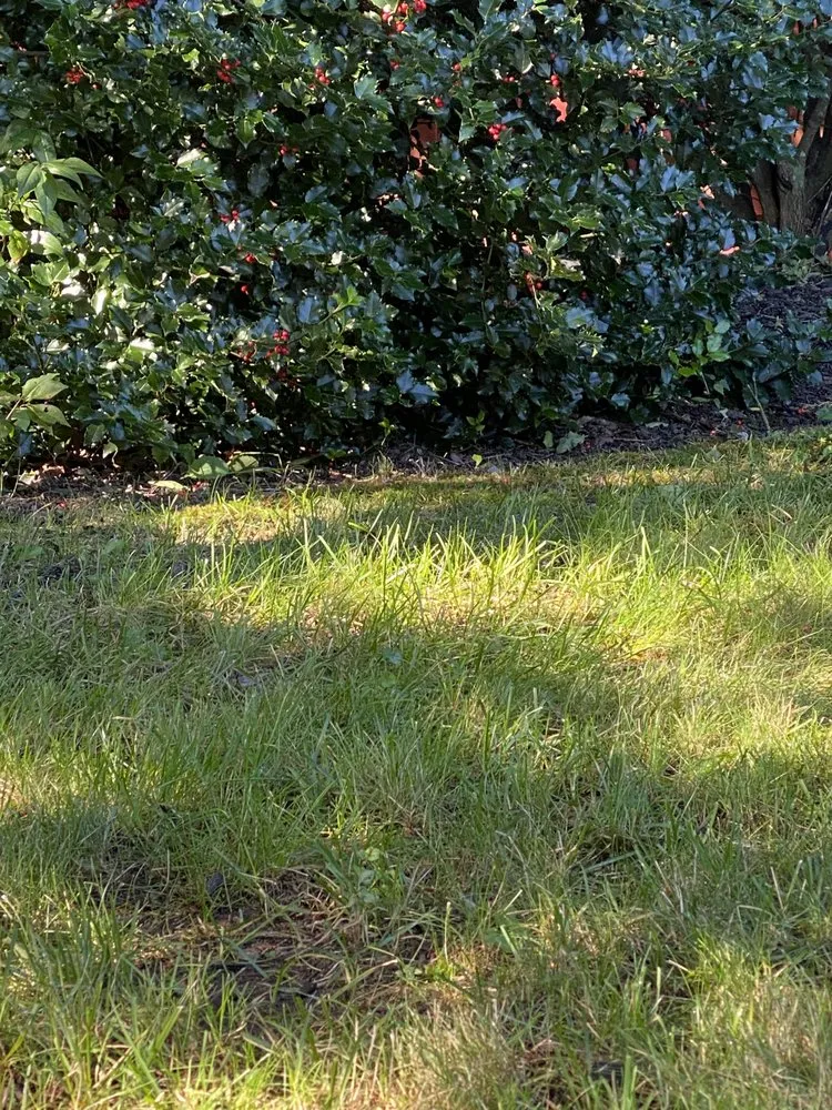 Affordable garden landscaping in North Kingstown, RI by 855-RILAWNS