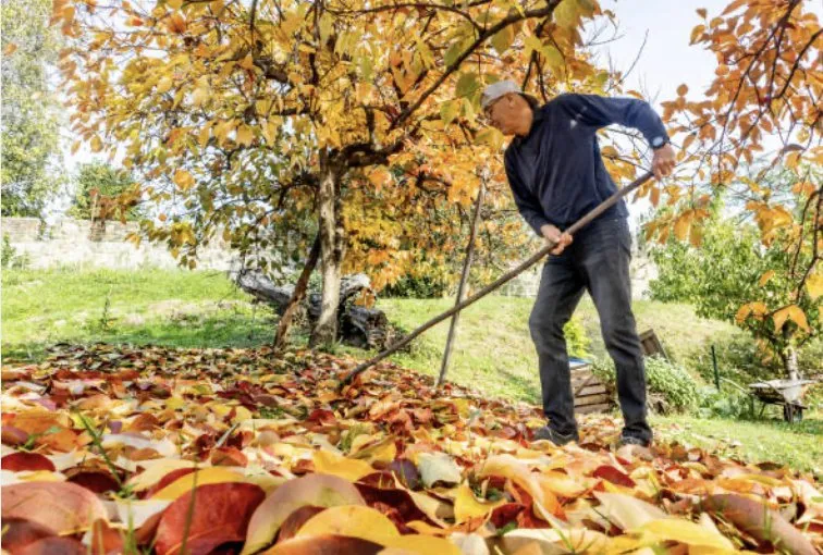 Top-rated residential landscaping near you across New Britain, CT - 860 Yard Work