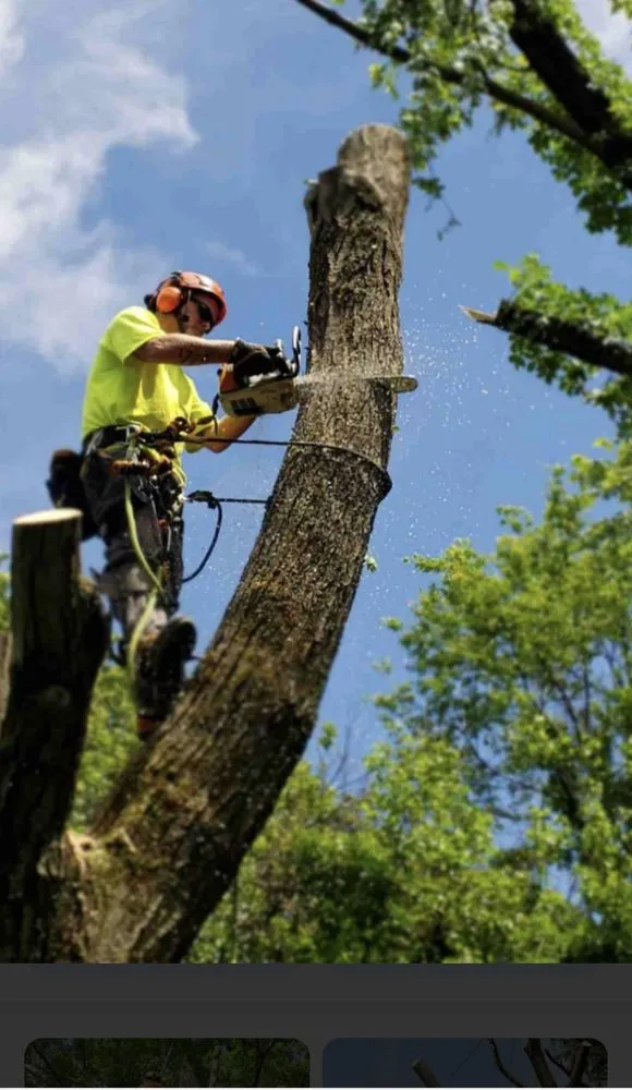 Custom outdoor landscaping in Bartow, FL - 863 Lawn and Tree services