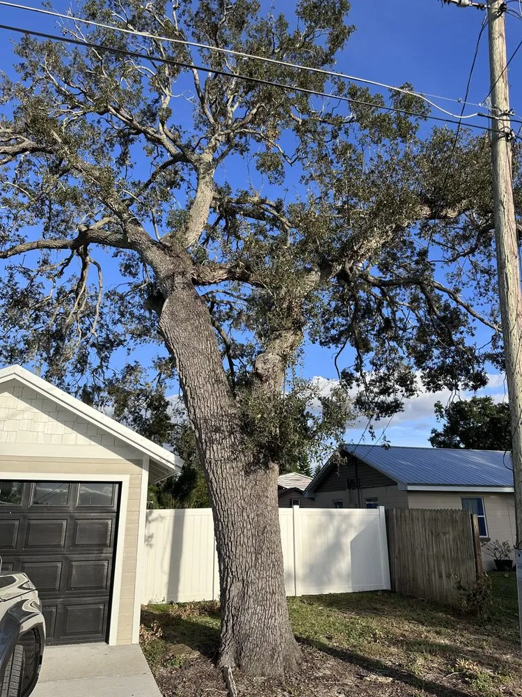 Reliable outdoor landscaping experts serving Bartow, FL - 863 Lawn and Tree services