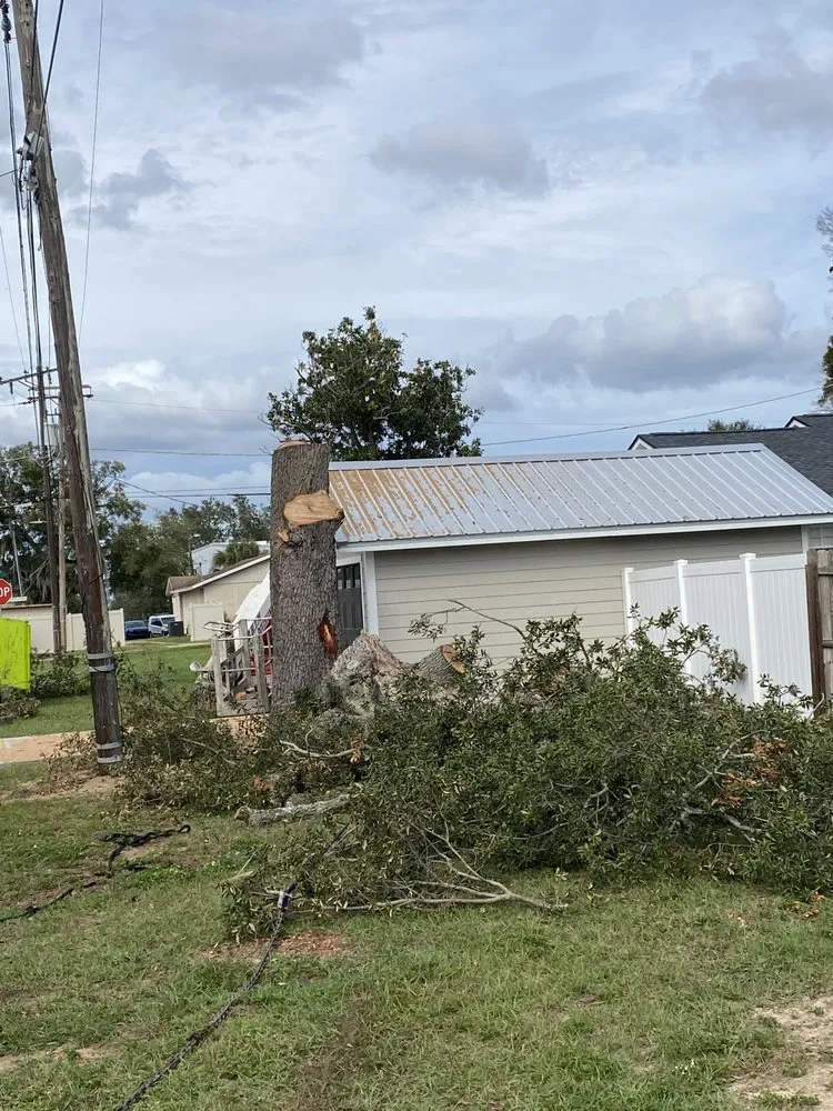 Reliable lawn care service near you in Bartow, FL by 863 Lawn and Tree services