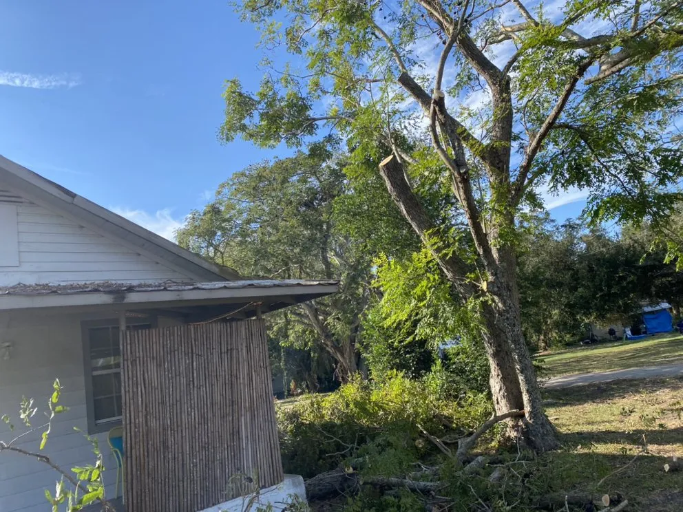 Professional garden landscaping experts serving Bartow, FL - 863 Lawn and Tree services