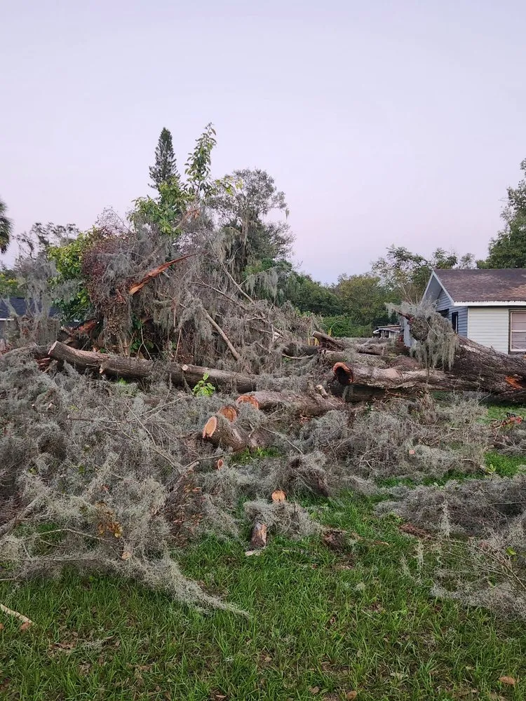 Local yard cleanup service in Bartow, FL by 863 Lawn and Tree services