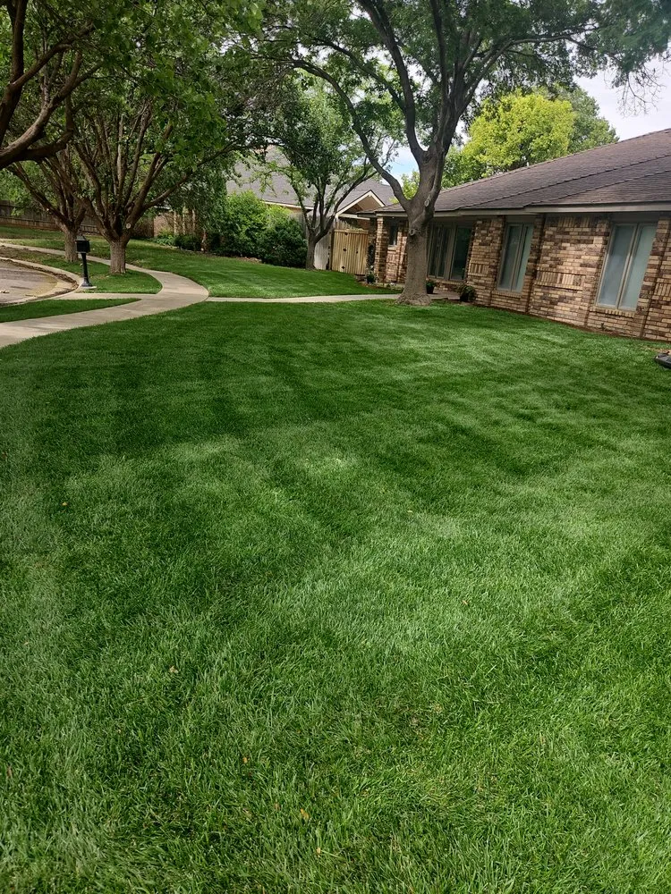 Expert yard cleanup service in Amarillo, TX - 870 Enterprises