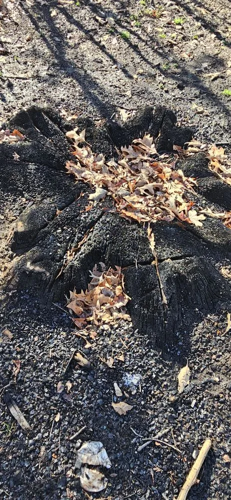 Custom landscaping services in Paragould, AR - 870 Lawn Rescue