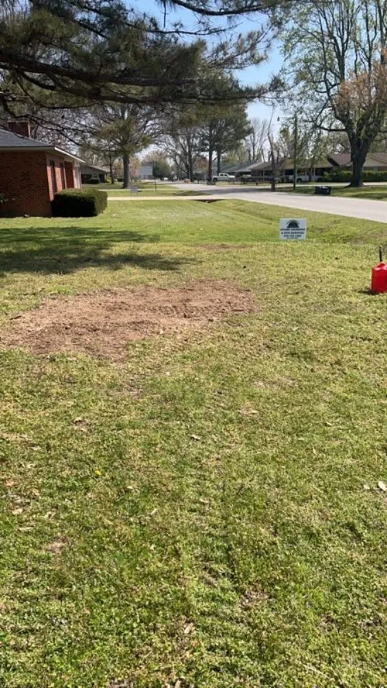 Top-rated lawn mowing service in Paragould, AR by 870 Lawn Rescue