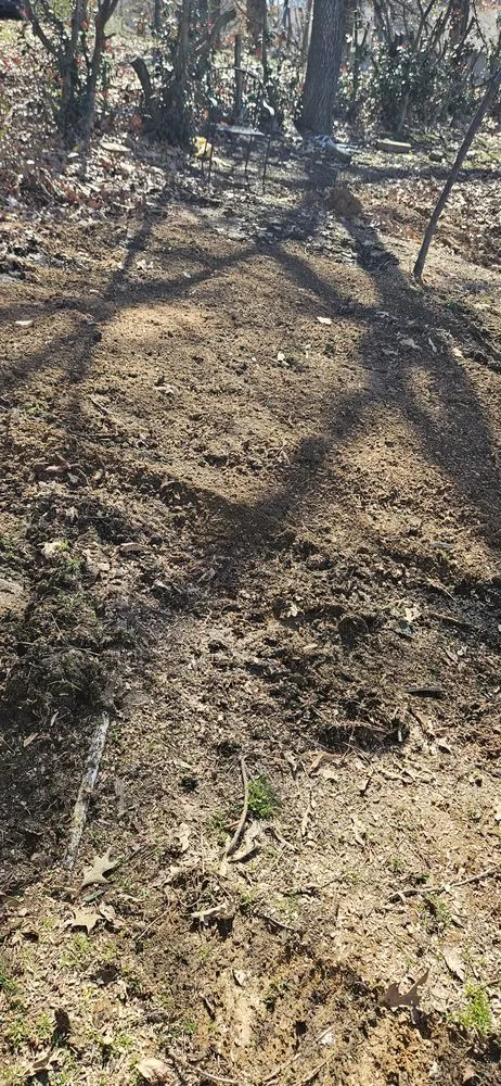 Expert yard maintenance experts serving Paragould, AR - 870 Lawn Rescue