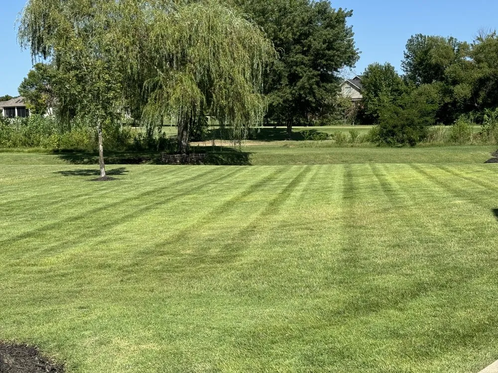 Affordable outdoor landscaping for year-round maintenance across Mountain Home, AR - 870 Turf