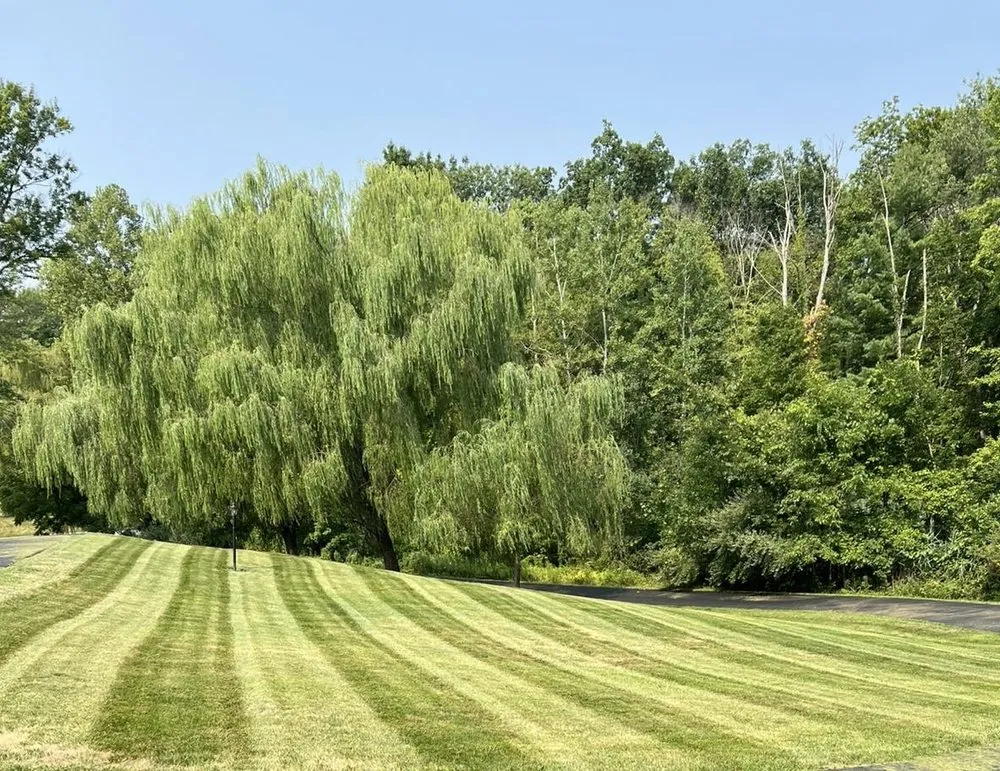 Reliable landscaping services experts serving Albany, NY - 876 Lawn Boys Landscaping