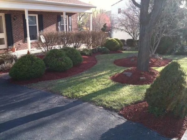 Professional yard cleanup service in Sellersville, PA by 877Grasscut