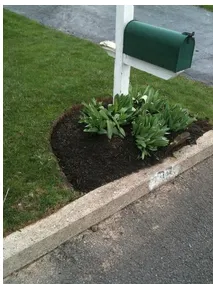 Expert lawn mowing service in Sellersville, PA - 877Grasscut