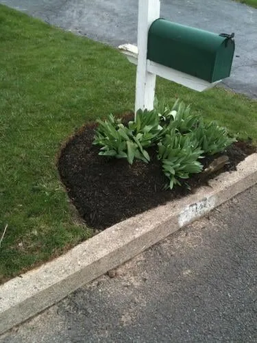 Local lawn mowing service for beautiful yards across Sellersville, PA - 877Grasscut