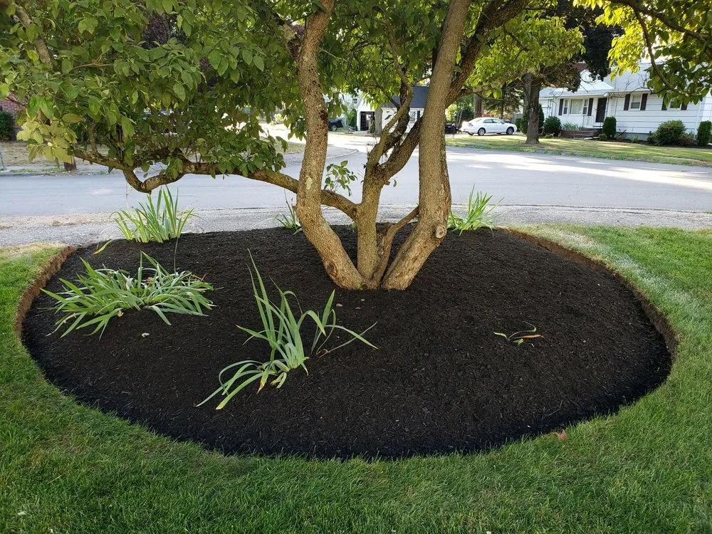 Expert landscape installation in Weymouth, MA by 88 Landscaping