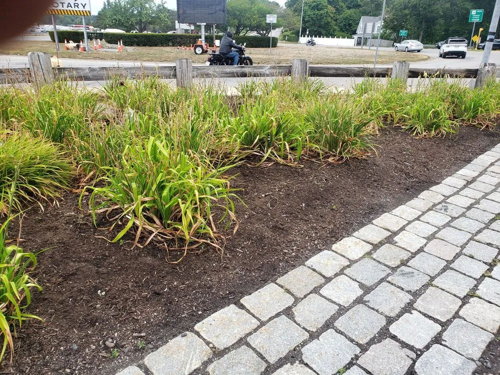 Professional lawn care service in Weymouth, MA - 88 Landscaping