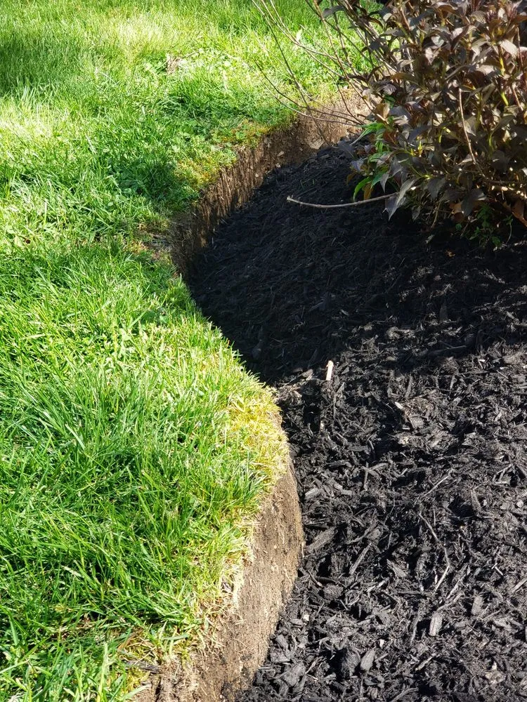 Professional lawn mowing service for beautiful yards across Weymouth, MA - 88 Landscaping