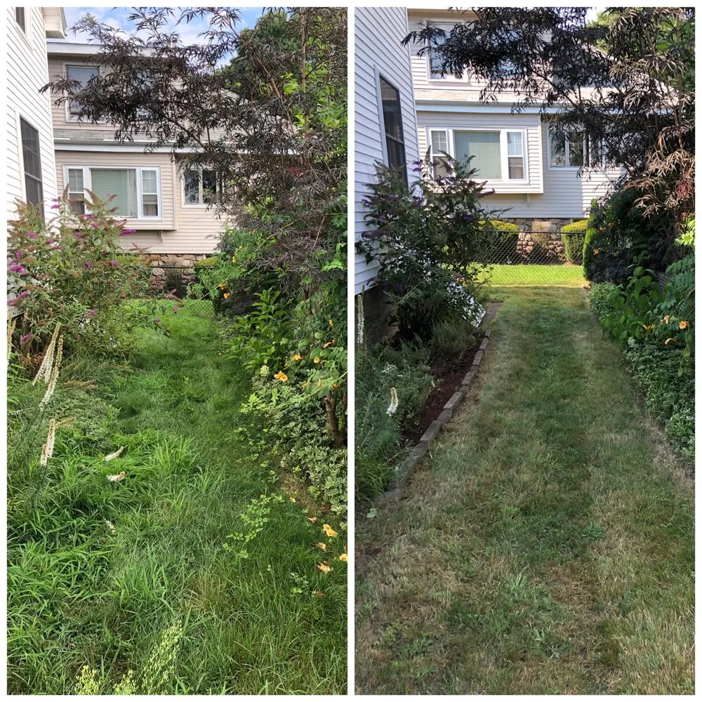 Professional landscaping services for homes in Weymouth, MA by 88 Landscaping