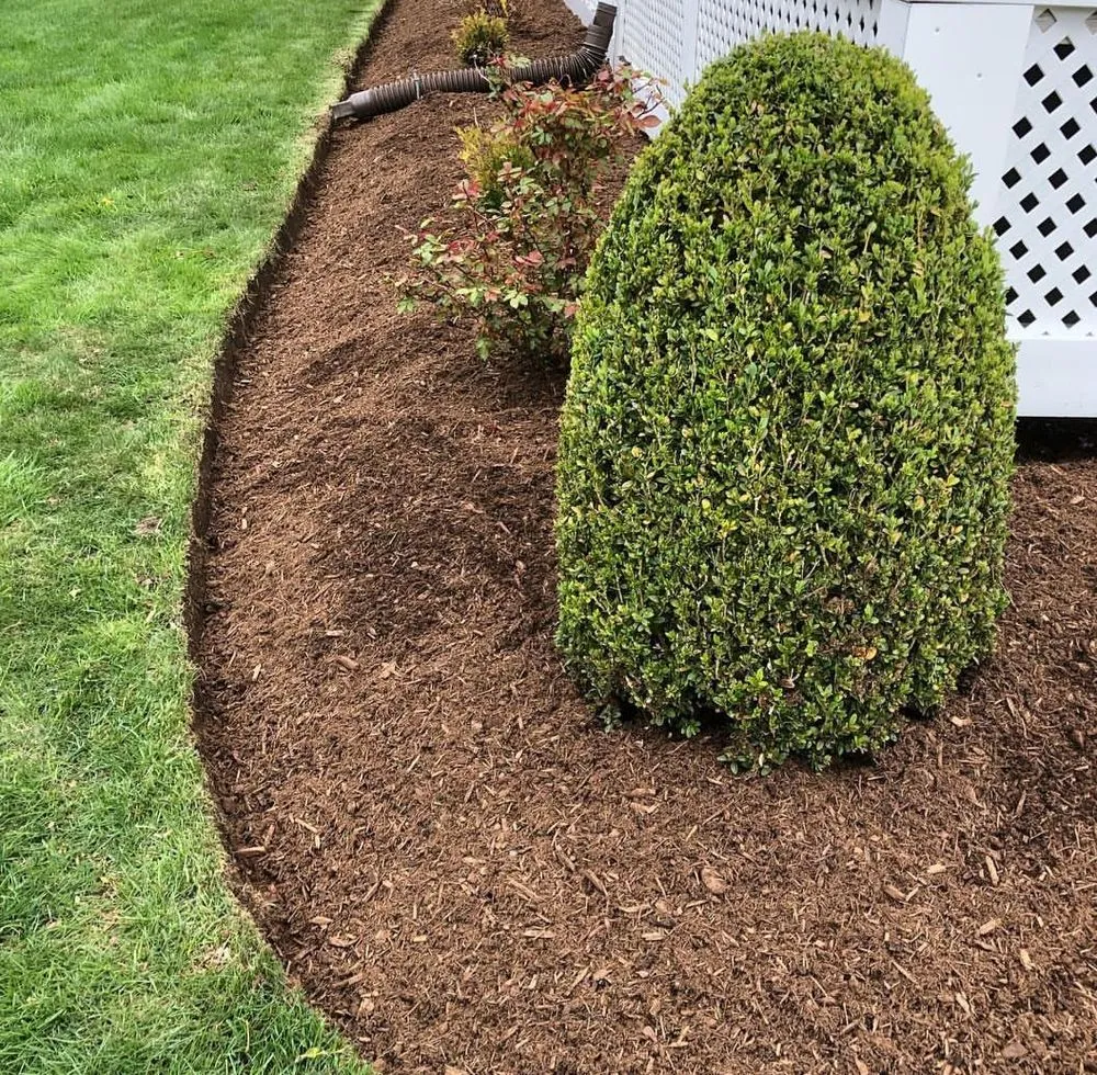 Professional landscape installation in Weymouth, MA - 88 Landscaping