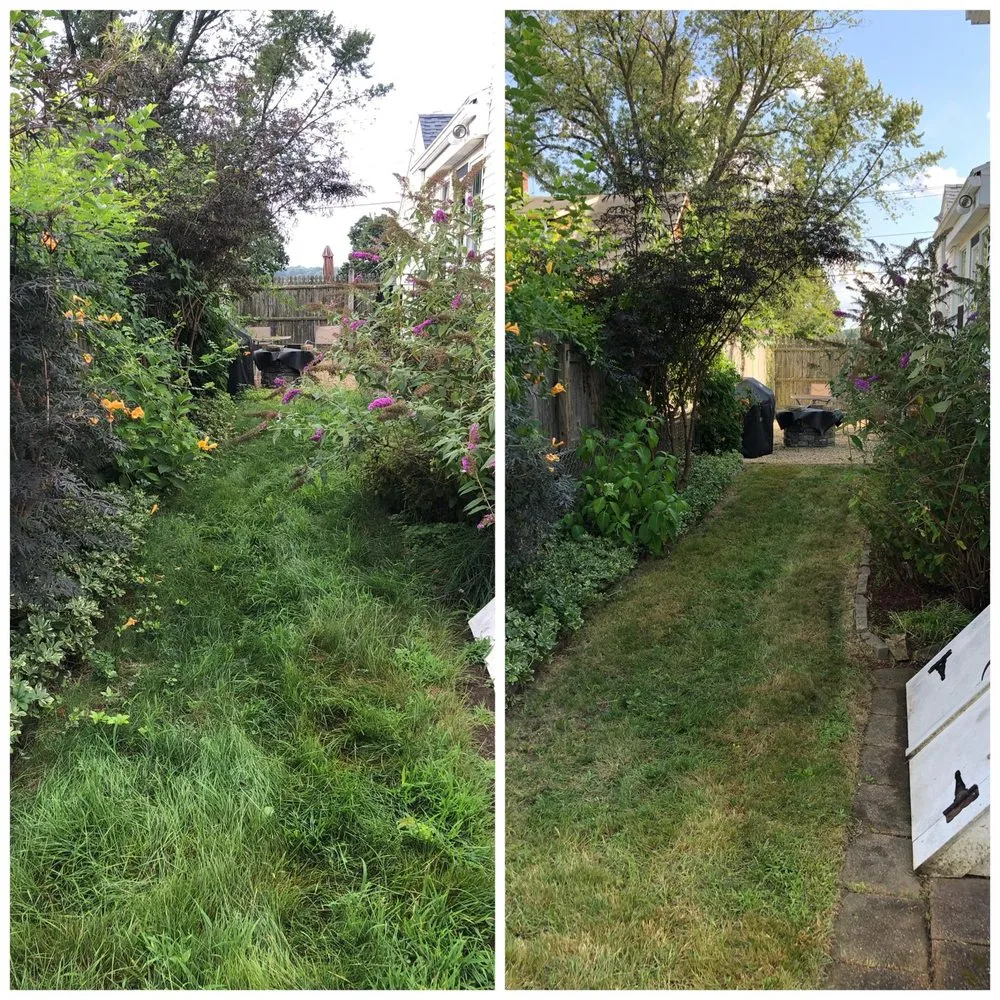 Affordable yard maintenance in Weymouth, MA - 88 Landscaping